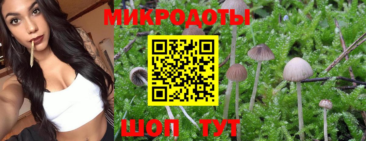 Галлюциногенные грибы прущие грибы Десногорск