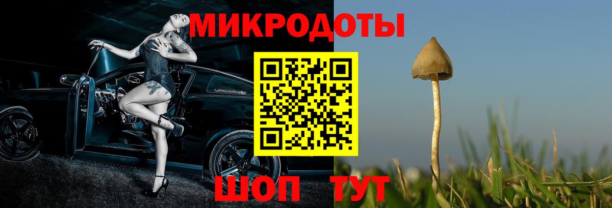 Галлюциногенные грибы Magic Shrooms  Вход с VPN  Десногорск 